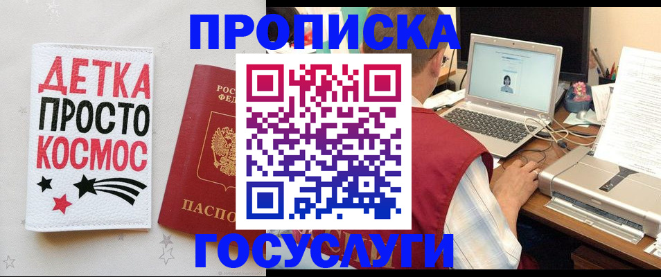 прописка гарантия в Шали